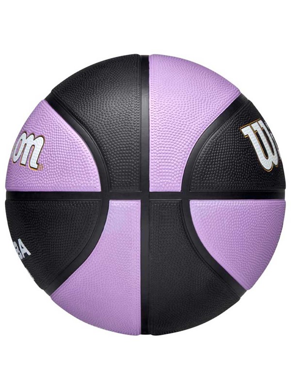 Košarkaška žoga Wilson WNBA team tribute GS Valkyries - velikost 6