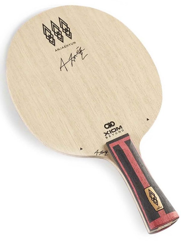 Leseni del XIOM TMXi An JaeHyun