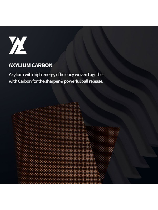 Leseni del XIOM Artemis ALXi