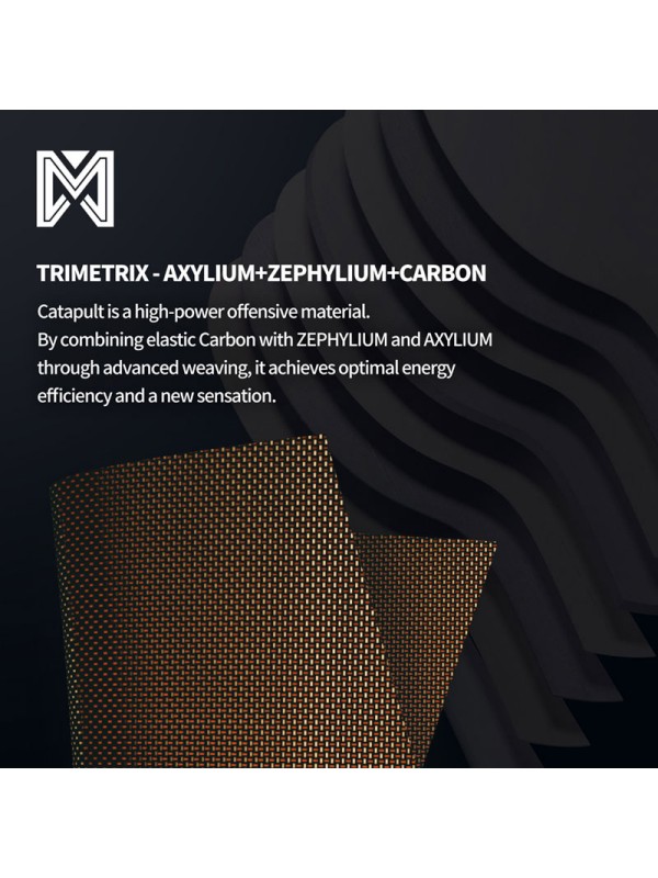 Leseni del XIOM Tetra TMXi