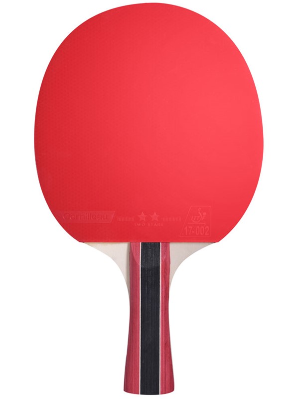 Lopar za namizni tenis Cornilleau Sport 300