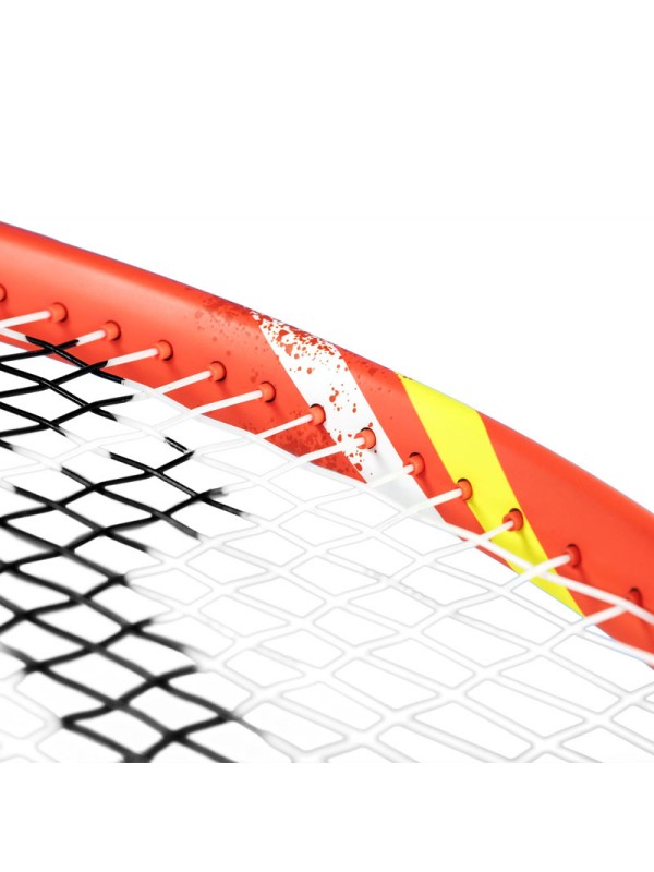 Tenis lopar Tecnifibre T-Fight 300S IG