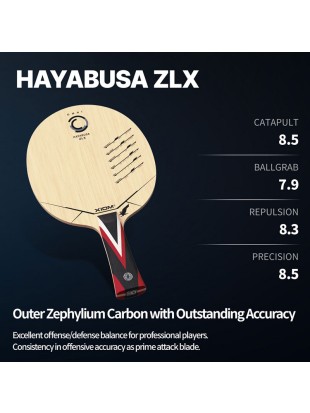 Leseni del XIOM Hayabusa ZLX