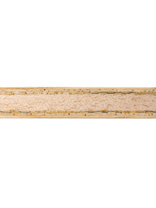 Leseni del GEWO Blade Prithika Pavade Blaze OFF-