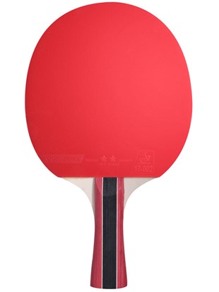 Lopar za namizni tenis Cornilleau Sport 300