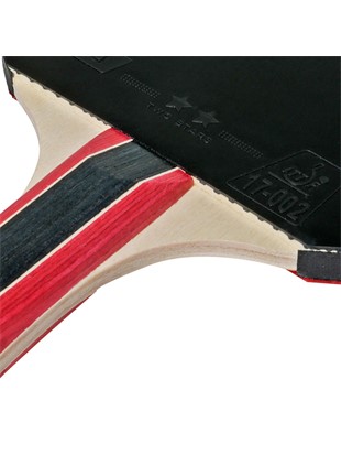 Lopar za namizni tenis Cornilleau Sport 300