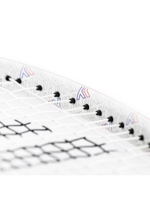 Tenis komplet Tecnifibre: lopar T-Fight 295 RSL in nahrbtnik Endurance