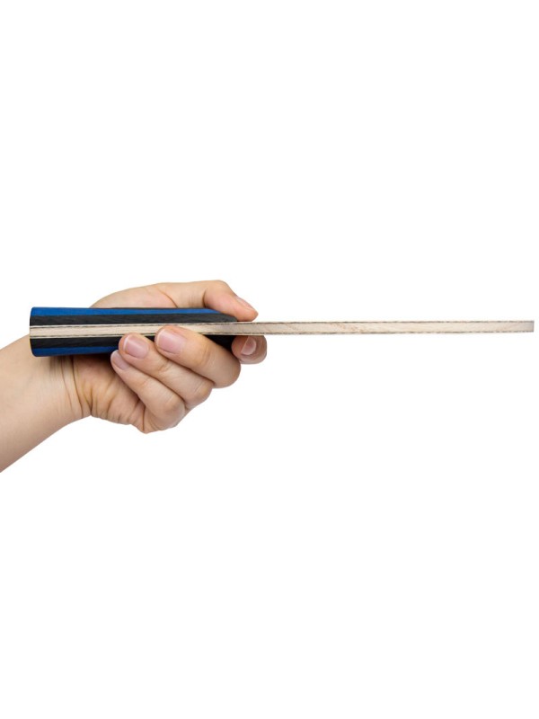 Leseni del XIOM 36.5 ALX