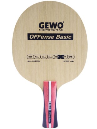 Leseni del GEWO Offense Basic